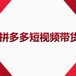 2022风口红利期-拼多多短视频带货，适合新手小白的入门短视频教程