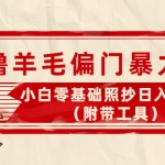 外面卖998的三个撸羊毛偏门暴力项目，小白零基础照抄日入300+（附带工具）