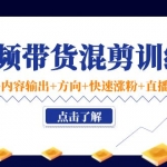 短视频带货混剪训练营：底层逻辑+内容输出+方向+快速涨粉+直播方法！