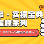 拼多多·实操宝典：金牌系列“小白到高手”带你全方位玩转拼多多各种玩法