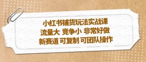 小红书铺货玩法实战课，流量大 竞争小 非常好做 新赛道 可复制 可团队操作