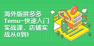 海外版拼多多Temu-快速入门实战课，店铺实战从0到1（12节课）