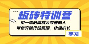 板砖特训营，用一年时间成为专业的人，带你突破行动局限，快速成长