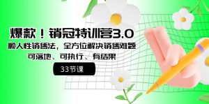 爆款！销冠特训营3.0之顺人性销售法，全方位解决销售难题、可落地、可执…