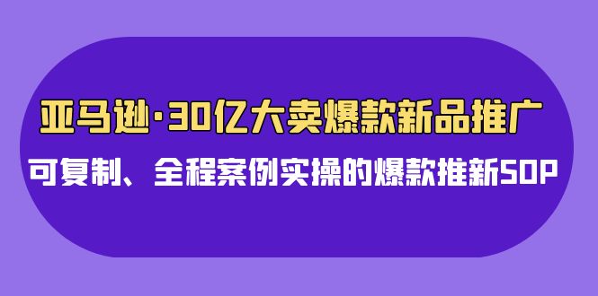 亚马逊30亿·大卖爆款新品推广，可复制、全程案例实操的爆款推新SOP