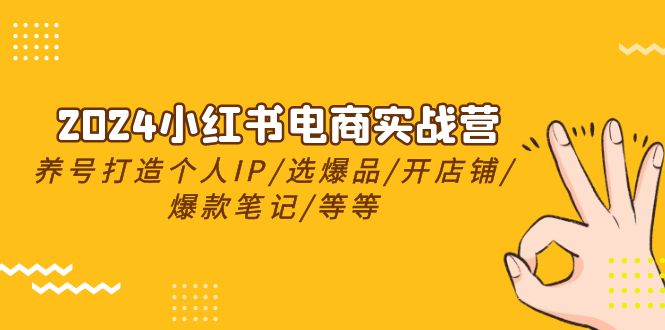 2024小红书电商实战营，养号打造IP/选爆品/开店铺/爆款笔记/等等（24节）