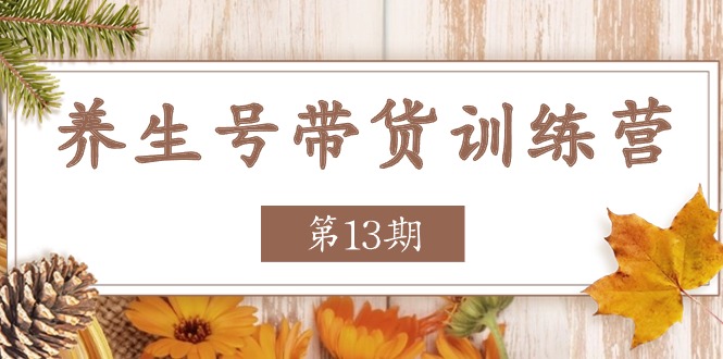 养生号-带货训练营【第13期】收益更稳定的玩法，让你带货收益爆炸