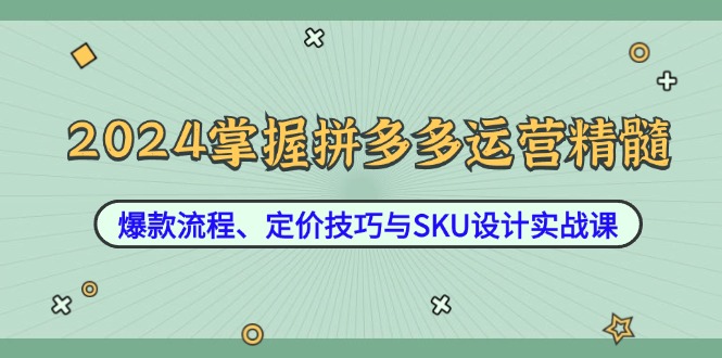 2024掌握拼多多运营精髓：爆款流程、定价技巧与SKU设计实战课